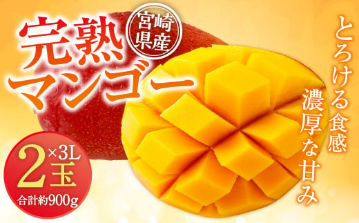 ＜宮崎県産 完熟マンゴー 3L×2玉(合計 約900g)＞