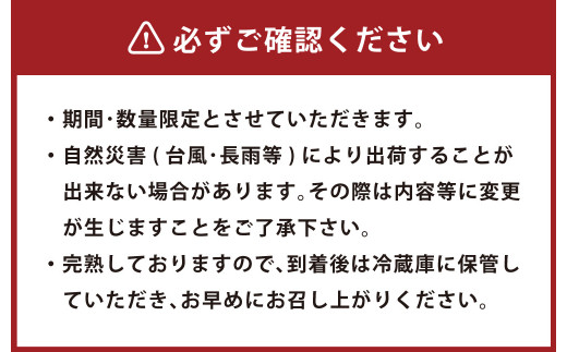 ＜宮崎県産 完熟マンゴー 3L×2玉(合計 約900g)＞