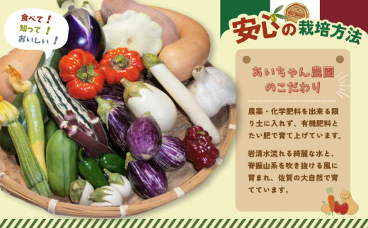 年間定期便12回 イタリア野菜セットラージ 14品 【有機野菜 おまかせ野菜セット イタリア野菜 西洋野菜 定期便】(H078134)