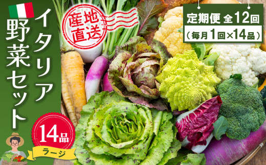 年間定期便12回 イタリア野菜セットラージ 14品 【有機野菜 おまかせ野菜セット イタリア野菜 西洋野菜 定期便】(H078134)