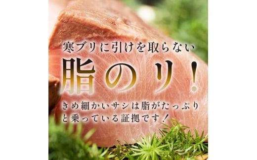 数量限定 増量中  天然ぶり刺身 1kg (250g×4パック)  北海道 知床羅臼産 魚 海産物 魚介 魚介類 ブリ 鰤 刺身 ご飯のお供 冷凍 生産者 支援 応援