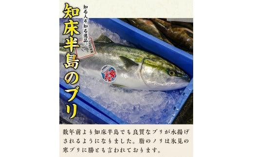 数量限定 増量中  天然ぶり刺身 1kg (250g×4パック)  北海道 知床羅臼産 魚 海産物 魚介 魚介類 ブリ 鰤 刺身 ご飯のお供 冷凍 生産者 支援 応援