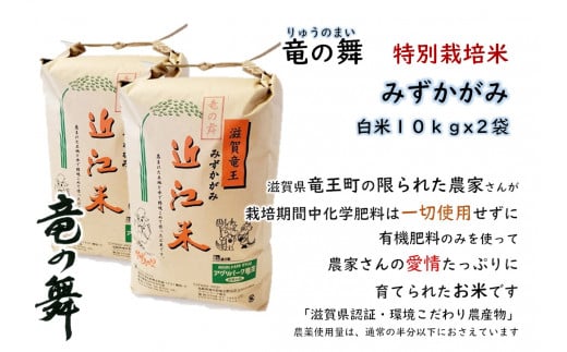 新米 【令和6年9月上旬より順次発送】 みずかがみ 白米 20kg ( 10kg × 2袋入)   2024年産 竜の舞 化学肥料不使用 特別栽培米 国産 安心 安全 近江米 米 お米 白米 お弁当 玄米 産地直送 滋賀県 竜王町 送料無料