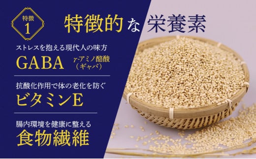 金のいぶき玄米 5kg◇ ｜ 玄米・お米 ※2024年11月上旬頃より順次発送予定