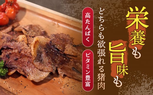 ジビエ 天然イノシシ肉 肩ロース or ロース スライス500g / 猪 猪肉 いのしし肉 イノシシ イノシシ肉 ジビエ いのしし 長崎県猪 川棚町産猪 ぼたん鍋用いのしし 九州産イノシシ じびえ ジビエ ジビエ肉 【照本食肉加工所】 [OAJ010]