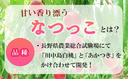 [No.5657-3976]須坂市産桃「なつっこ」 大玉2kg以上！（約5～6玉）《田中農園》■2024年発送■※8月上旬頃～8月中旬頃まで順次発送予定 果物 フルーツ もも 大玉