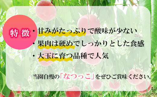 [No.5657-3976]須坂市産桃「なつっこ」 大玉2kg以上！（約5～6玉）《田中農園》■2024年発送■※8月上旬頃～8月中旬頃まで順次発送予定 果物 フルーツ もも 大玉