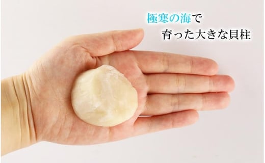 【緊急支援品】噴火湾産 ホタテ玉冷大（1kg）＜斉藤水産＞ 