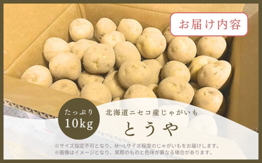 《2024年分受付中》なめらかな舌触りに感動!北海道ニセコ名産「とうや」新じゃが10kg/高橋農園【37006】