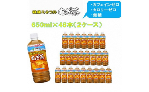 R5-13　健康ミネラルむぎ茶650ml PET×48本（2ケース）