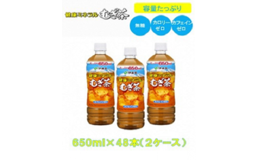 R5-13　健康ミネラルむぎ茶650ml PET×48本（2ケース）