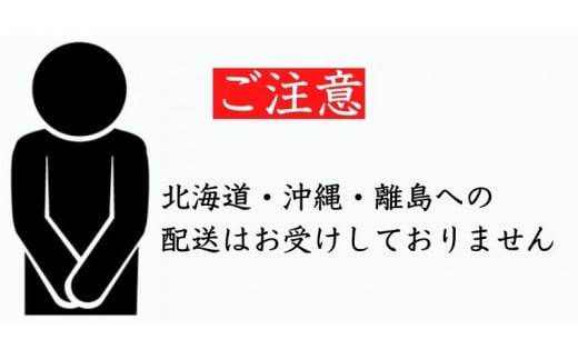 30-07 濃厚な甘さと味わいに恋する NOUKAの濃恋アイスクリームセット 濃恋バナナ&濃恋いちご 各3個