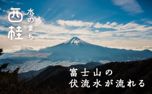 No.462-03 iruyo　ポリエステル生地　ビションフリーゼ柄（ブラウン） ／ 手芸用生地 ジャカード織 撥水コーティング 犬柄 山梨県