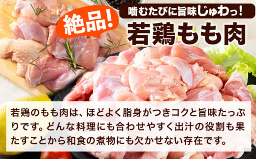 うまかチキン 全パックもも肉セット(計1種類) 合計9.3kg 3.1kg×3セット《1-5営業日以内に出荷予定(土日祝除く)》ふるさと納税 肉 とり とり肉 鳥もも肉 小分けバック 鳥 とりもも 冷凍 定期 大容量 もも肉 数量限定 簡易包装