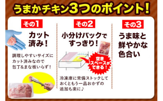 うまかチキン 全パックもも肉セット(計1種類) 合計9.3kg 3.1kg×3セット《1-5営業日以内に出荷予定(土日祝除く)》ふるさと納税 肉 とり とり肉 鳥もも肉 小分けバック 鳥 とりもも 冷凍 定期 大容量 もも肉 数量限定 簡易包装