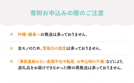 父の日 さくらんぼ 佐藤錦 特秀Lサイズ 黄色の薔薇付 プレゼント ギフト 化粧箱鏡詰め 300g 2024年産 山形県産 ns-snctl300