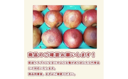 【11月下旬発送】訳あり 家庭用 蜜入りサンふじ 約3kg【青森りんご・マルコウアップル】