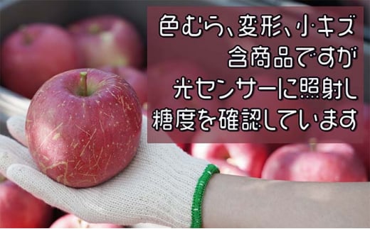 【11月下旬発送】訳あり 家庭用 蜜入りサンふじ 約3kg【青森りんご・マルコウアップル】