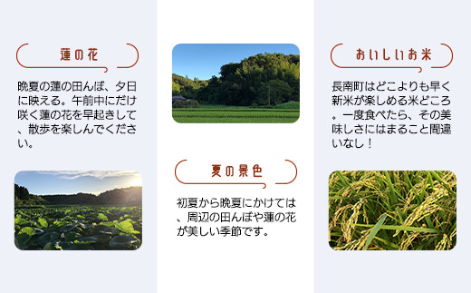 別荘利用気分で！古民家ゲストハウス・蓮宿泊券（6泊7日コース）ふるさと納税 宿泊券 古民家 ゲストハウス 千葉県 長南町 CNO003