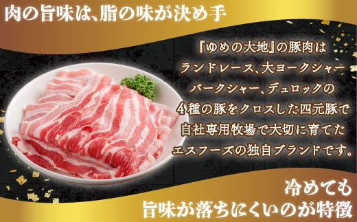 【平取町産四元豚】ゆめの大地豚バラスライス　200g×10パック計2ｋｇ ふるさと納税 人気 おすすめ ランキング 豚肉 肉 豚バラ 北海道 平取町 送料無料 BRTD005