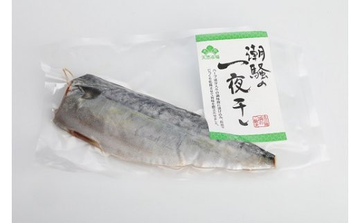 【旨味たっぷり ジューシー！】久慈前沖さばの一夜干し10枚セット【潮騒の一夜干し】