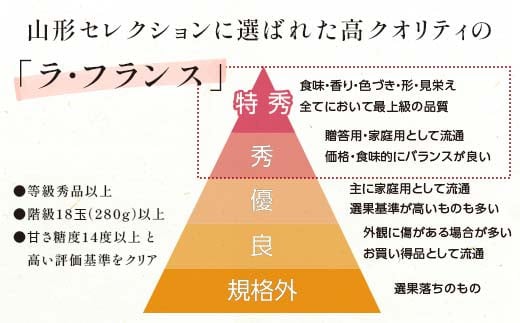 《先行予約》山形県高畠町産 ラ・フランス&ジュース詰め合わせ［2024年11月上旬より順次発送］ラフランス 果物 秋果実 フルーツ F20B-748