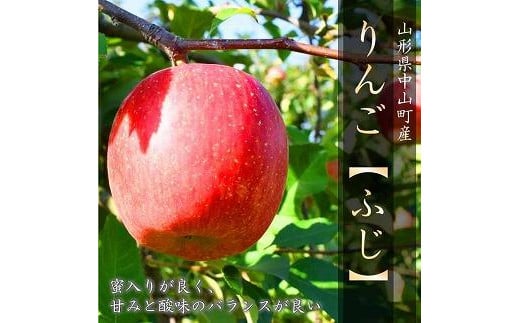 【令和7年産先行受付】中山町の至高！山形県中山町厳選フルーツ定期便　全6回