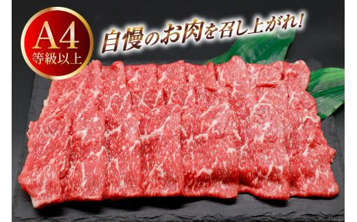 【A4等級以上】 肉 牛肉 宮崎牛 モモ赤身 スライス 600g×2 計1.2kg [牛心フードサービス 宮崎県 美郷町 31bm0011] 冷凍 小分け ブランド牛 赤身 もも モモ もも赤身