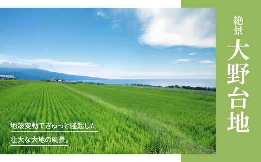 【四国一小さなまちのじゃがいも】★令和6年11月中旬発送開始★ 大野台地で採れた『 令和6年産 秋じゃが 』 10kg　～ 訳あり ～