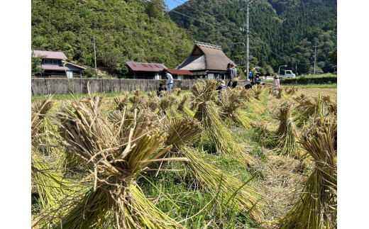  【新米】【京都・美山町 料理旅館きぐすりや 】 特別栽培米キヌヒカリ「きぐすりや米」10kg[髙島屋選定品］025N748