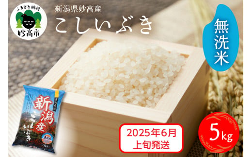 【2025年6月上旬発送】令和6年産 新潟県妙高産こしいぶき5kg 無洗米