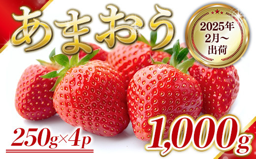 MZ048　福岡県産 あまおう 1000g　先行予約 2025年2月より順次発送