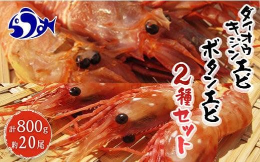 ダイオウキジンエビ(ガサエビ)とボタンエビのセット  えび エビ 海老 食べ比べ 魚介 魚介類 北海道 羅臼町 海産物 冷凍 刺身 フライ 生産者 支援 応援