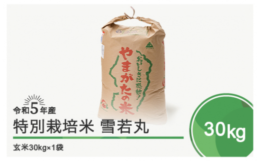 令和6年5月下旬発送 雪若丸30㎏ 玄米  令和5年産