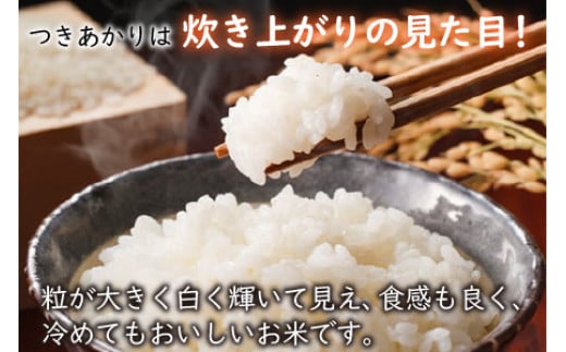 【令和6年産 新米】福井県産 つきあかり 白米10kg 若狭の恵| 米 お米 コメ こめ 白米 精米 10キロ 令和6年度産