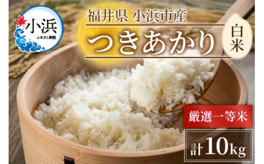 【令和6年産 新米】福井県産 つきあかり 白米10kg 若狭の恵| 米 お米 コメ こめ 白米 精米 10キロ 令和6年度産