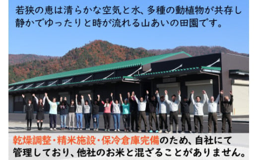 【令和6年産 新米】福井県産 つきあかり 白米10kg 若狭の恵| 米 お米 コメ こめ 白米 精米 10キロ 令和6年度産