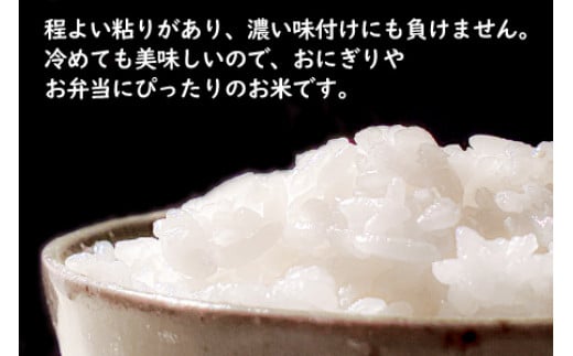 【令和6年産 新米】福井県産 つきあかり 白米10kg 若狭の恵| 米 お米 コメ こめ 白米 精米 10キロ 令和6年度産