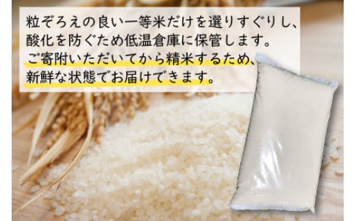 【令和6年産 新米】福井県産 つきあかり 白米10kg 若狭の恵| 米 お米 コメ こめ 白米 精米 10キロ 令和6年度産