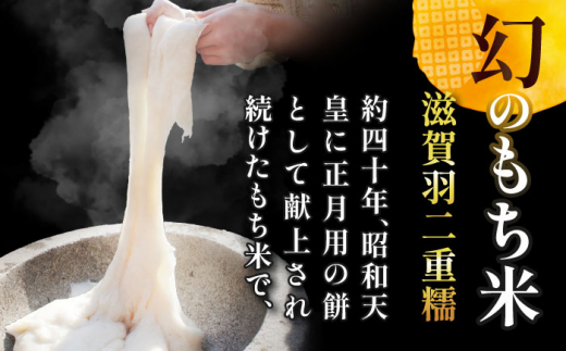 【12月発送】愛知県産滋賀羽二重糯 計4.2kg 1.4kg（1升）3袋セット 特別栽培米 もち米 お赤飯 お餅 愛西市／戸典オペレーター [AECT002-12]