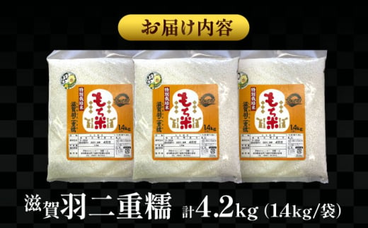 【12月発送】愛知県産滋賀羽二重糯 計4.2kg 1.4kg（1升）3袋セット 特別栽培米 もち米 お赤飯 お餅 愛西市／戸典オペレーター [AECT002-12]