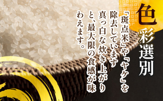 【12月発送】愛知県産滋賀羽二重糯 計4.2kg 1.4kg（1升）3袋セット 特別栽培米 もち米 お赤飯 お餅 愛西市／戸典オペレーター [AECT002-12]