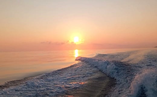 「海から久米島」久米島サンセットクルーズ 1名様ご利用券 クルーズ 遊覧 周遊 船 島 海 サンセット 太陽 夕日 夕焼け リゾート リラックス 思い出 絶景 体験 チケット 地形 船上 満喫 黄昏