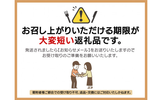 【先行予約】≪浜茹で≫ 天然 越前がに 大サイズ (茹で前約1kg) × 2杯【2025年3月上旬以降順次発送予定】冷蔵便 届いてすぐお召し上がりいただけます！ タグ付 福井を代表する冬の味覚 【越前ガニ  越前蟹 かに ずわい ズワイ 福井】 [m17-x002_03]