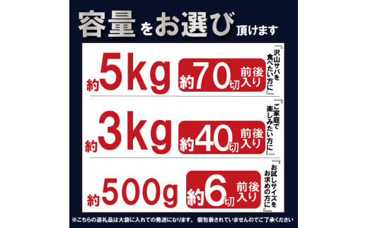 訳あり 塩サバ 切り身 約500g (約6切前後入り) 冷凍 鯖 塩 さば 魚 さかな 海鮮 海産物 おかず サバ 鯖ご飯 おすすめ 人気 さば サバ  鯖 魚 魚介 海鮮 惣菜 塩サバ 塩鯖 焼き鯖 サバ 焼きさば 焼さば 減塩  塩 鯖 さば サバ おすすめ 人気 ふるさと納税 鯖 サバ さば ふるさと納税さば 愛知県南知多町 南知多 株式会社 山太 さば 鯖 人気 おすすめ 愛知県 南知多町