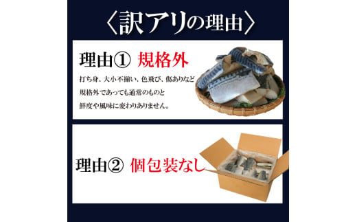 訳あり 塩サバ 切り身 約500g (約6切前後入り) 冷凍 鯖 塩 さば 魚 さかな 海鮮 海産物 おかず サバ 鯖ご飯 おすすめ 人気 さば サバ  鯖 魚 魚介 海鮮 惣菜 塩サバ 塩鯖 焼き鯖 サバ 焼きさば 焼さば 減塩  塩 鯖 さば サバ おすすめ 人気 ふるさと納税 鯖 サバ さば ふるさと納税さば 愛知県南知多町 南知多 株式会社 山太 さば 鯖 人気 おすすめ 愛知県 南知多町