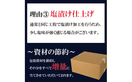 訳あり 塩サバ 切り身 約500g (約6切前後入り) 冷凍 鯖 塩 さば 魚 さかな 海鮮 海産物 おかず サバ 鯖ご飯 おすすめ 人気 さば サバ  鯖 魚 魚介 海鮮 惣菜 塩サバ 塩鯖 焼き鯖 サバ 焼きさば 焼さば 減塩  塩 鯖 さば サバ おすすめ 人気 ふるさと納税 鯖 サバ さば ふるさと納税さば 愛知県南知多町 南知多 株式会社 山太 さば 鯖 人気 おすすめ 愛知県 南知多町