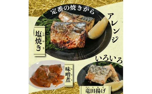 訳あり 塩サバ 切り身 約500g (約6切前後入り) 冷凍 鯖 塩 さば 魚 さかな 海鮮 海産物 おかず サバ 鯖ご飯 おすすめ 人気 さば サバ  鯖 魚 魚介 海鮮 惣菜 塩サバ 塩鯖 焼き鯖 サバ 焼きさば 焼さば 減塩  塩 鯖 さば サバ おすすめ 人気 ふるさと納税 鯖 サバ さば ふるさと納税さば 愛知県南知多町 南知多 株式会社 山太 さば 鯖 人気 おすすめ 愛知県 南知多町