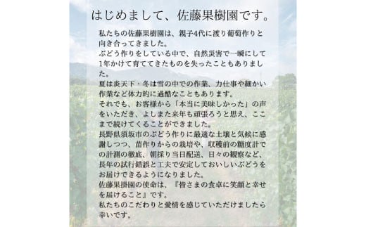 [No.5657-4029]シャインマスカットとマスカットノワール 粒 約2kg (約500g×4パック) 《佐藤果樹園》■2025年発送■※9月中旬頃～11月上旬頃まで順次発送予定