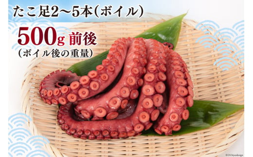 タコ 三陸産 浜ゆでだこ 約500g (足2～5本入) [村東商店 宮城県 気仙沼市 20564846] たこ 蛸 茹でダコ 茹で蛸 茹蛸 三陸 冷凍 タコ足 蛸足 たこ足 水ダコ 水蛸 水だこ 浜ゆで ごちそう 海鮮 魚介 魚介類